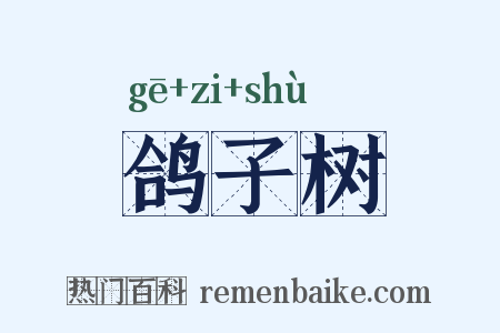 鸽子树是什么意思的图片